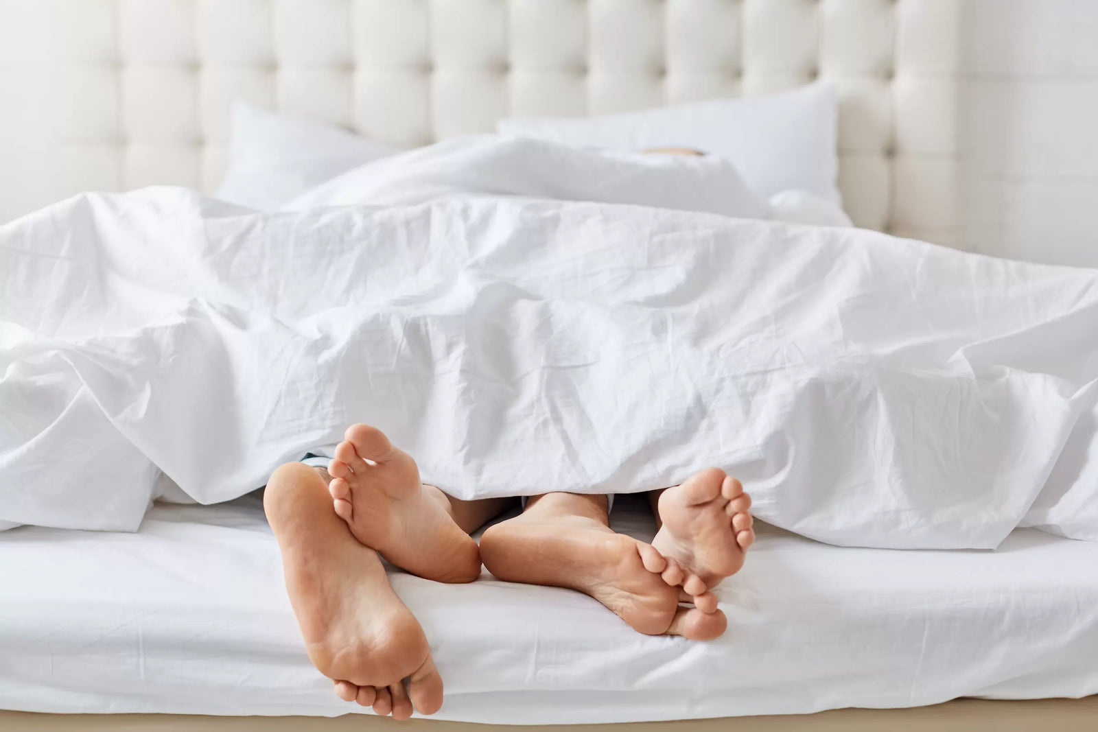 Wechseljahre und Sexualität